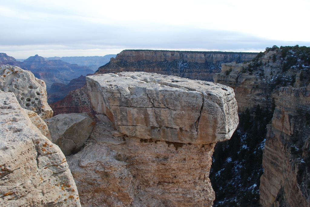 DSC_1653.JPG